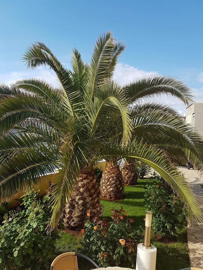 Apartments Vila Ana Vir Zewnętrze zdjęcie